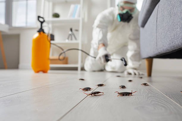 Trusted Cockroach Control service in Girard, PA - Nex Pest Control
